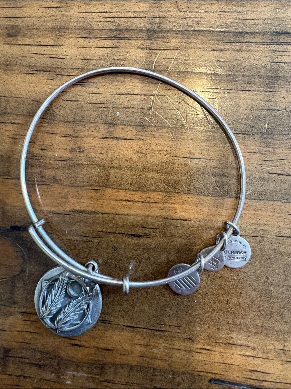 Alex and Ani Godspeed Grace Journey Blessing Charm Bangle Bracelet 2016 Silver